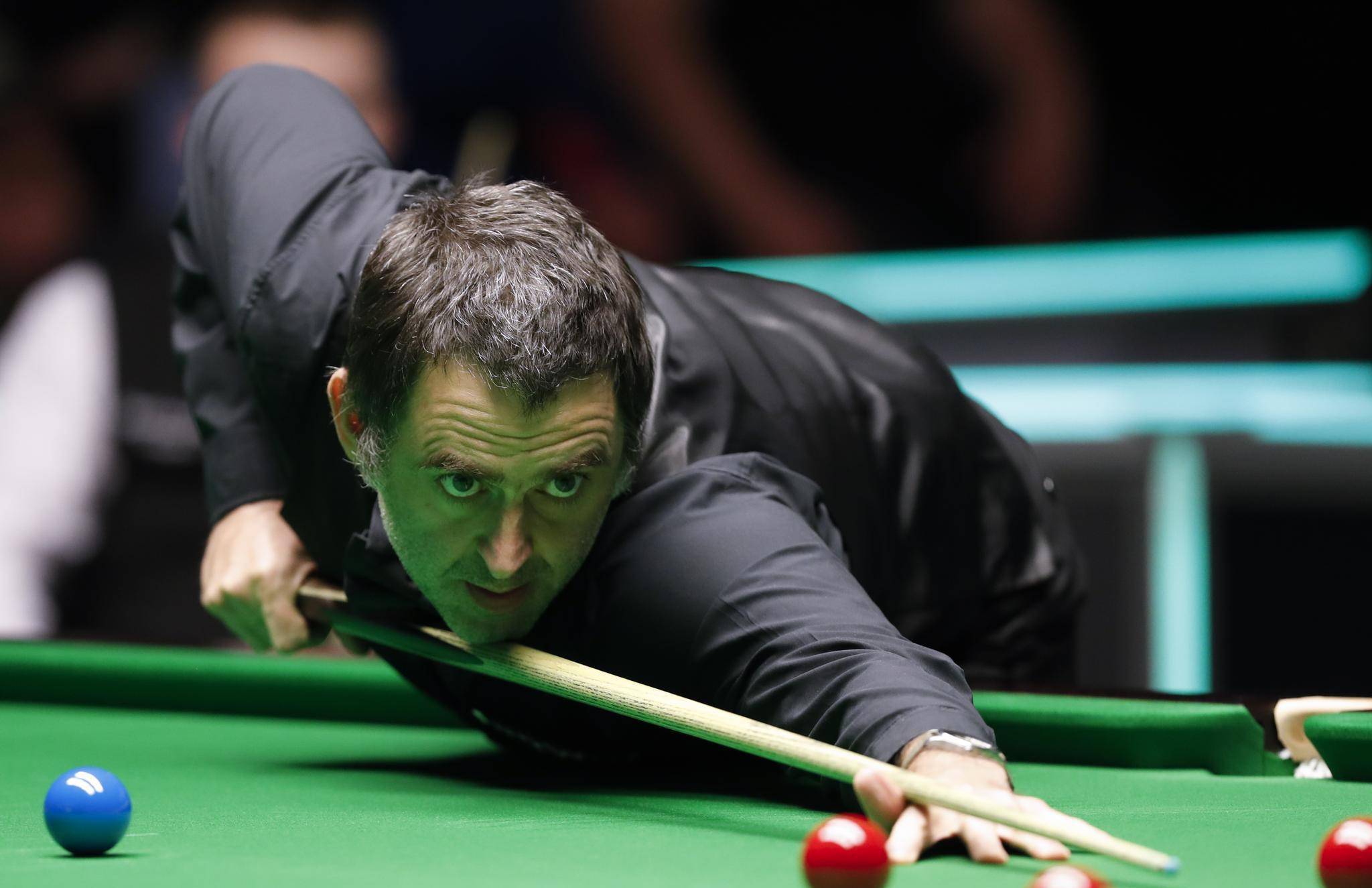 数虽然可观 数虽然可观